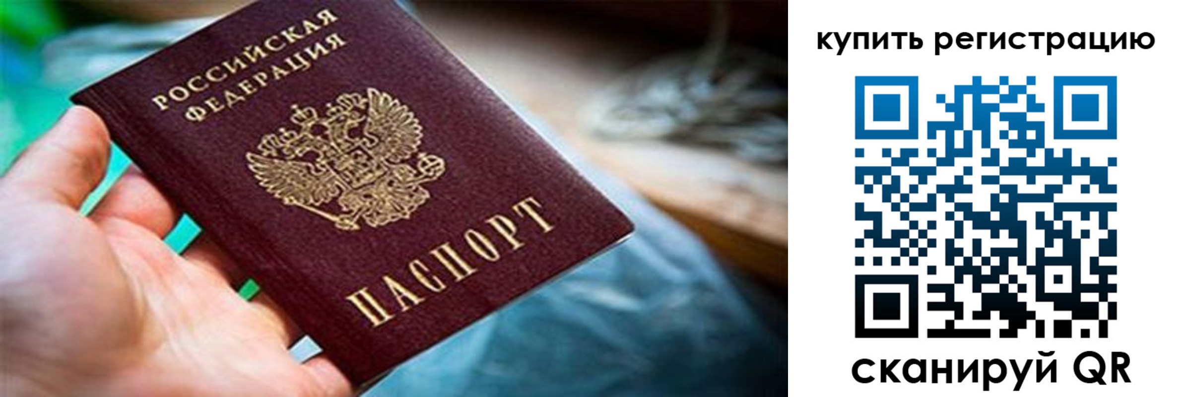 прописка гарантия в Порхове